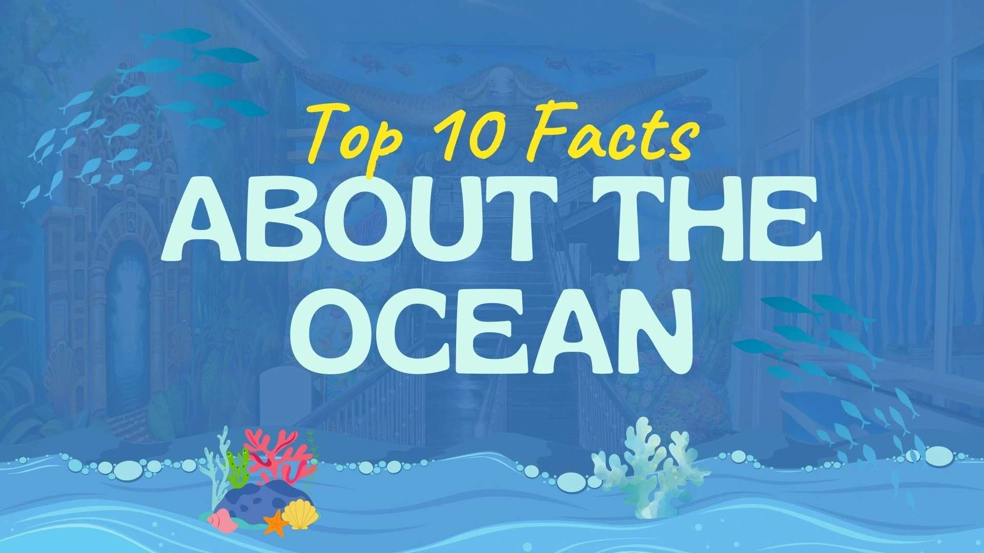 Top 10 Facts About the Ocean (2026)